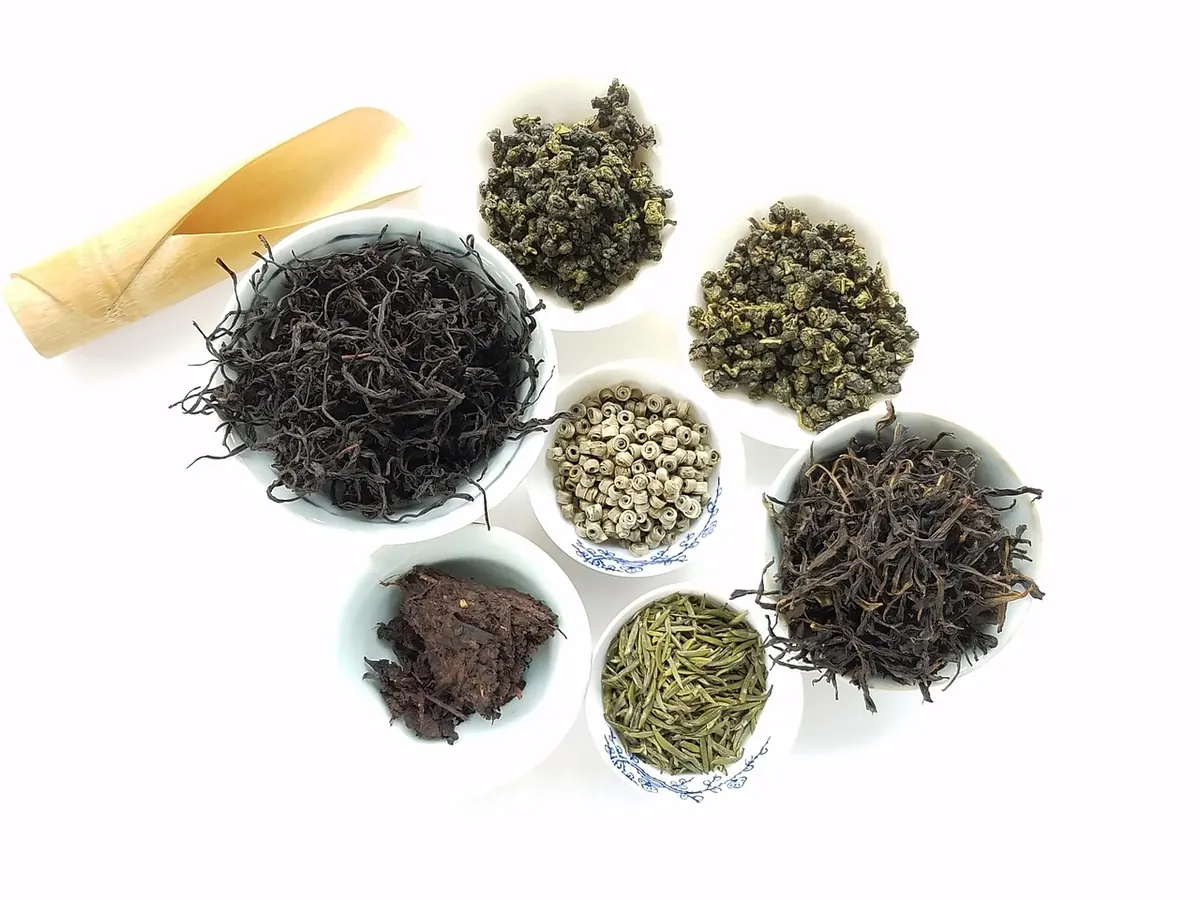 A Beginner's Guide to Oolong: Light, Medium, and Dark Roast Styles